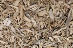 biomass boilers Queslett